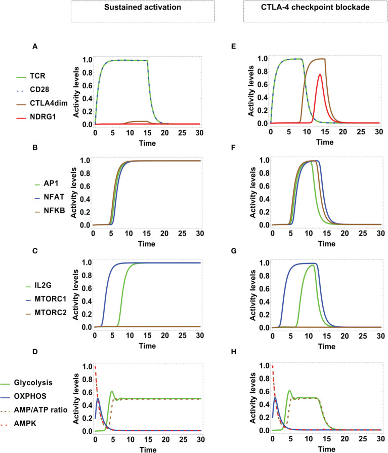 Figure 4