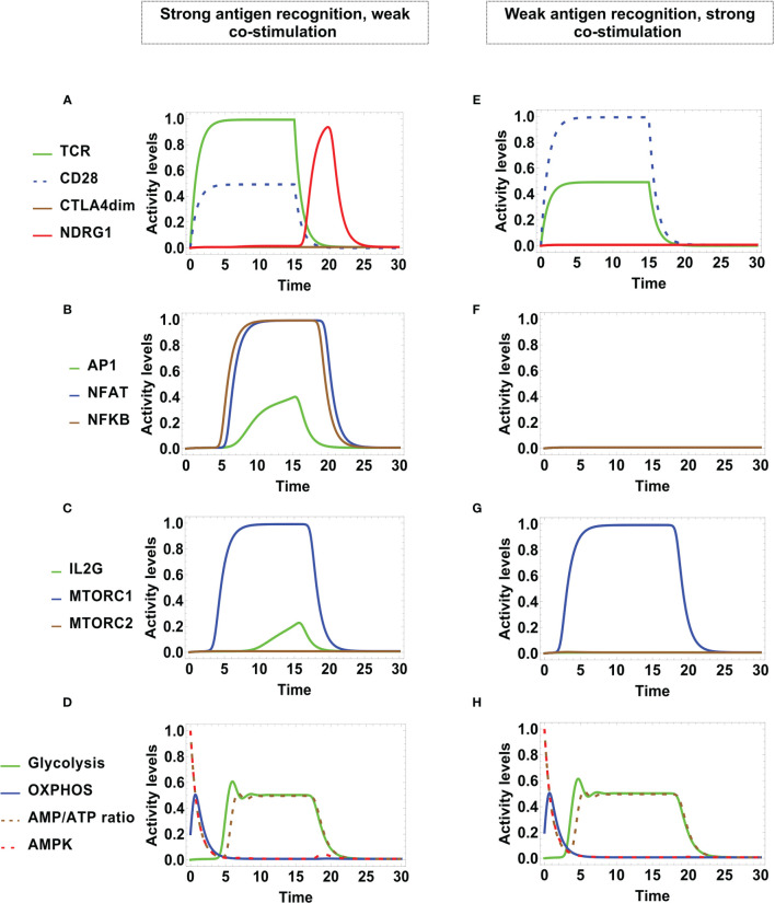 Figure 6