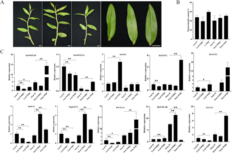 Fig. 10