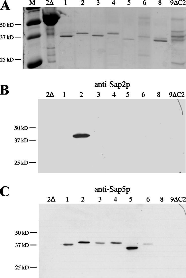 FIG. 5.