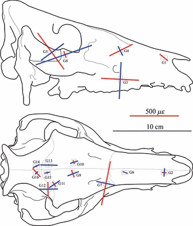 Fig. 2