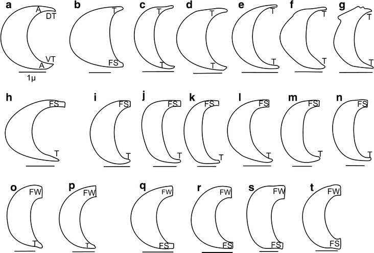 Fig. 2