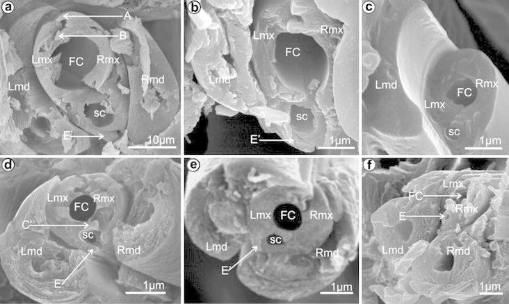 Fig. 9