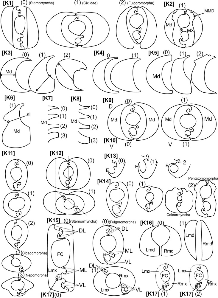 Fig. 11