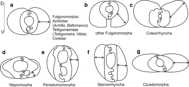 Fig. 10