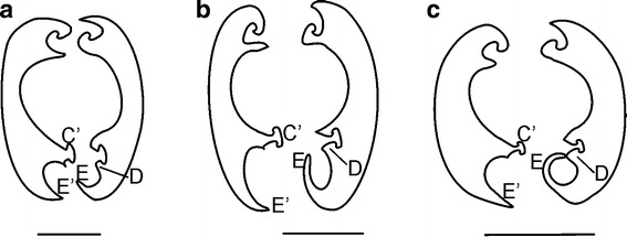 Fig. 4