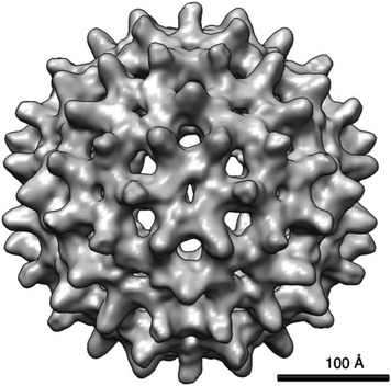 Fig. 1.1