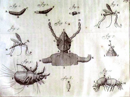 Fig. 1.4