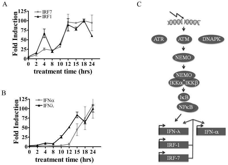 Figure 9