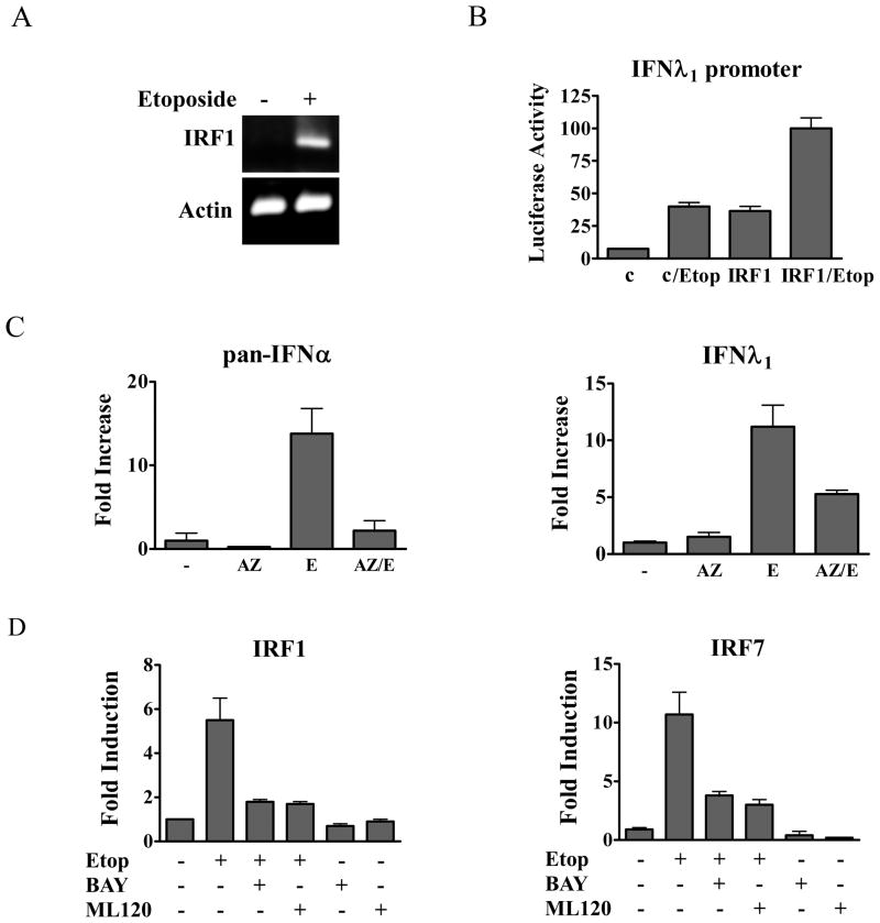 Figure 6