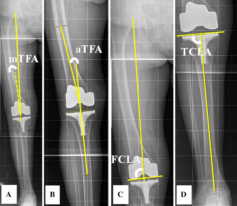 Fig. 2A–D