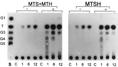 FIG. 4