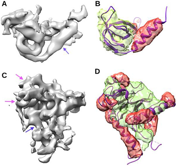 Figure 3.