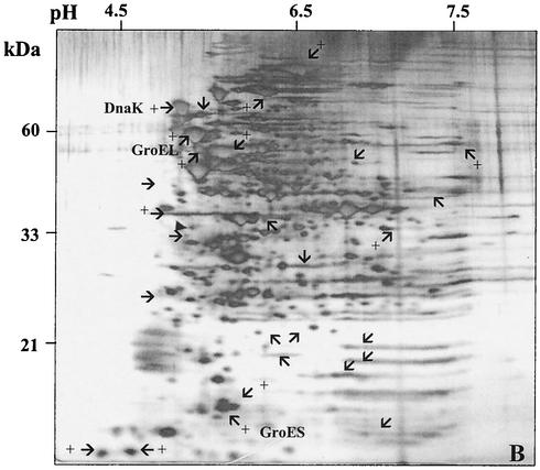 FIG. 6.