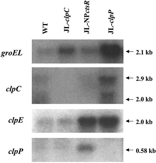 FIG. 5.