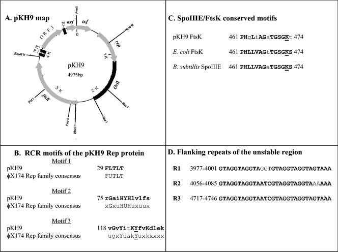 FIG. 1.