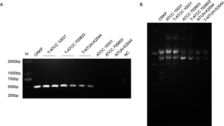 FIG 3