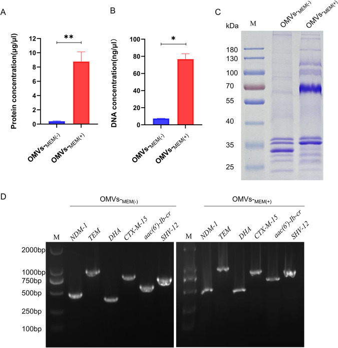 FIG 2