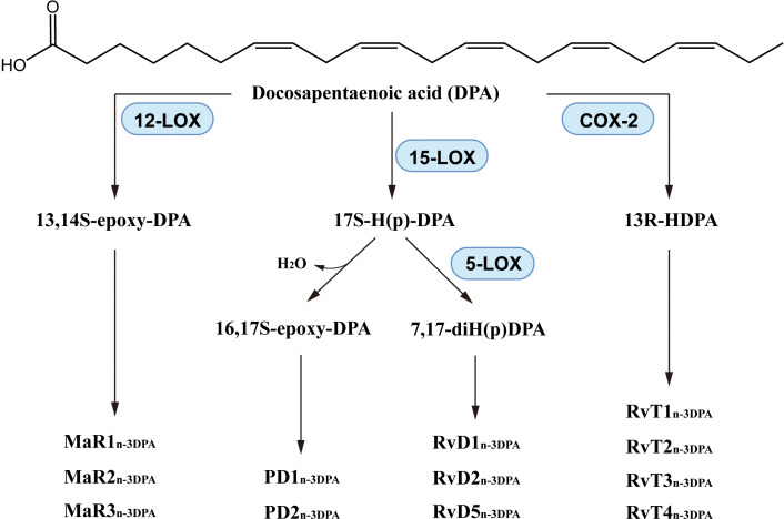 Figure 7