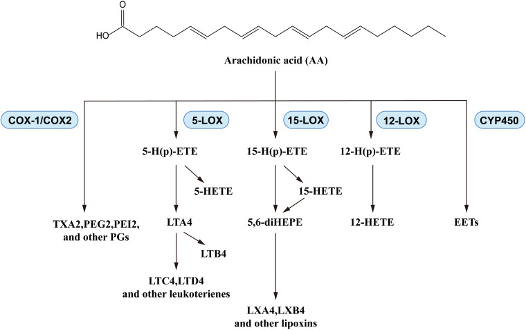 Figure 4