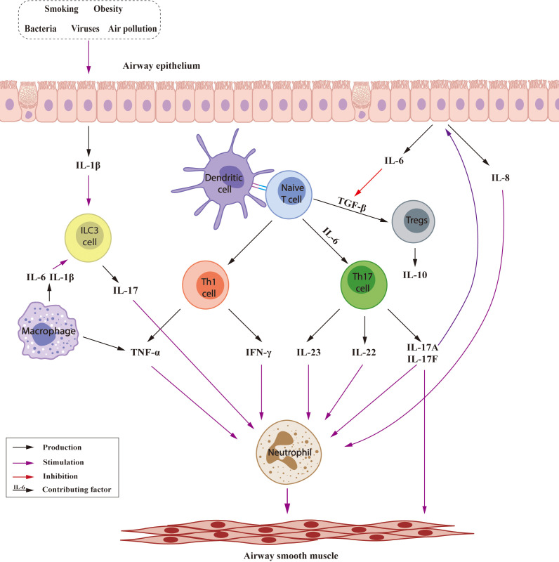 Figure 2