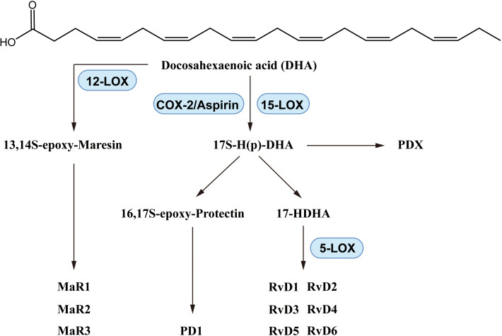 Figure 5