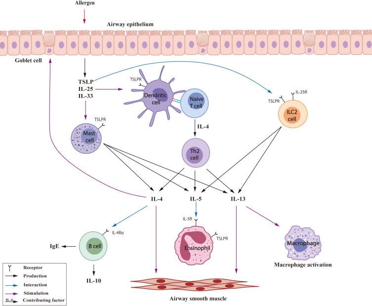 Figure 1