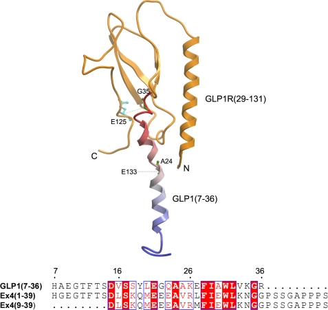 FIGURE 11.