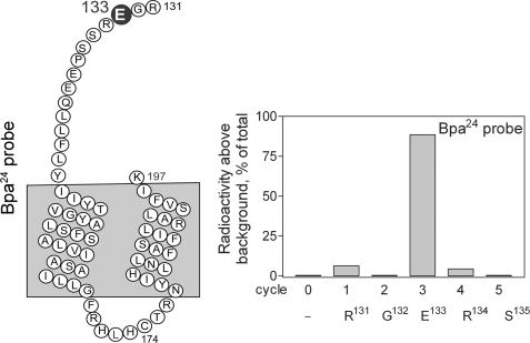 FIGURE 9.