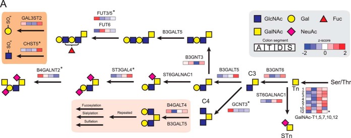 Fig. 6.