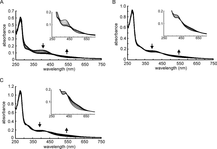 FIGURE 4.