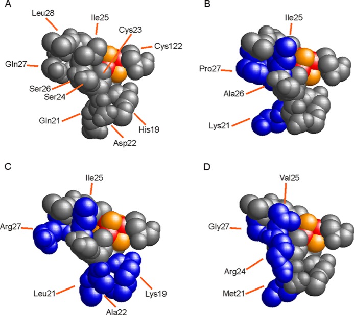 FIGURE 2.