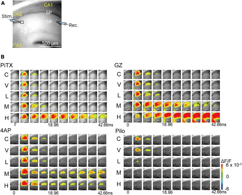 FIGURE 3