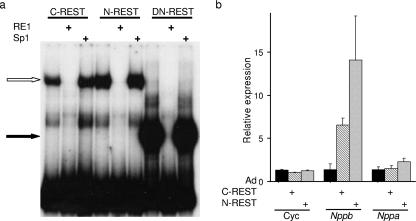 FIG. 6.