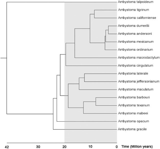 Figure 7