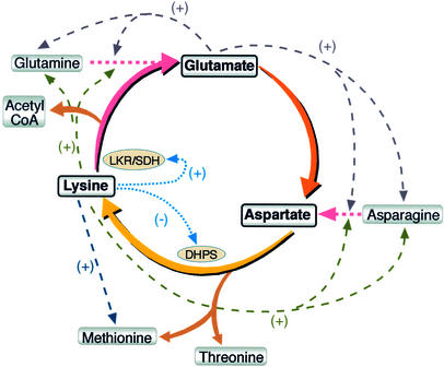 Figure 9.