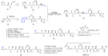 Scheme 9