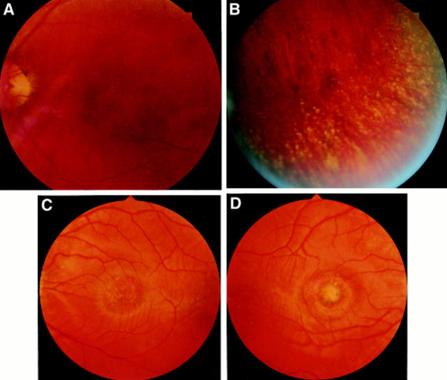 Figure 2  