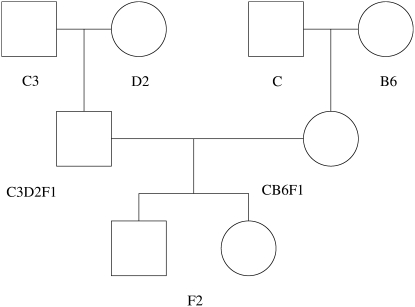 Figure 1.—