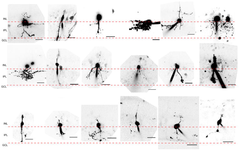 Extended Data Figure 5