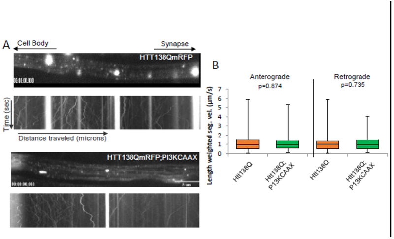 Figure 4: