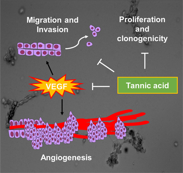 graphic file with name ao2c02727_0010.jpg