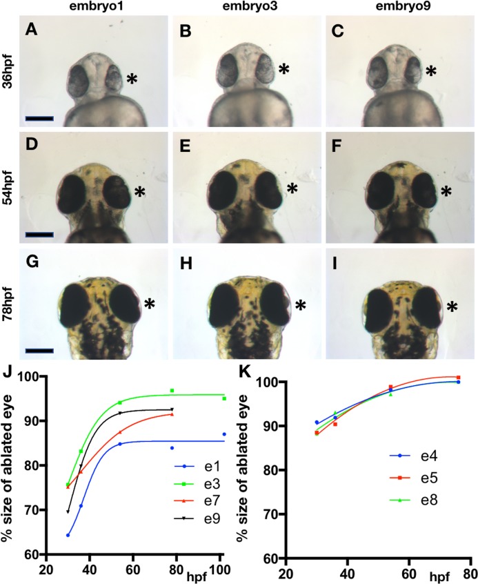 Figure 4—figure supplement 4.