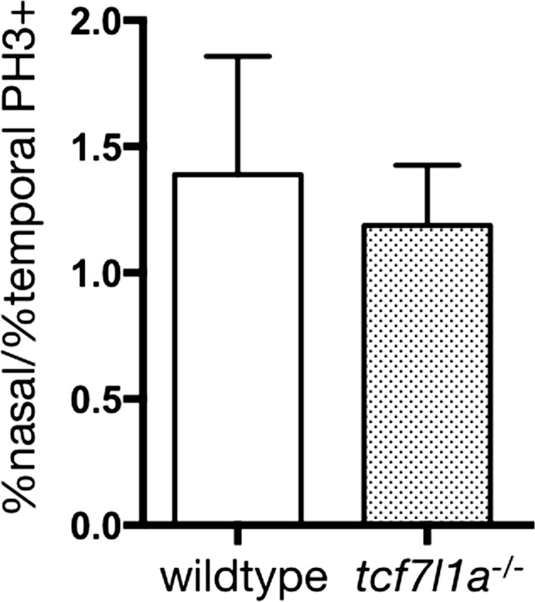 Figure 6—figure supplement 1.