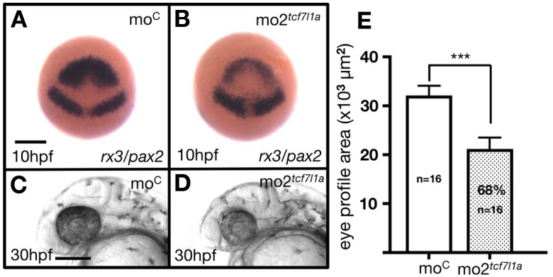 Figure 2—figure supplement 1.