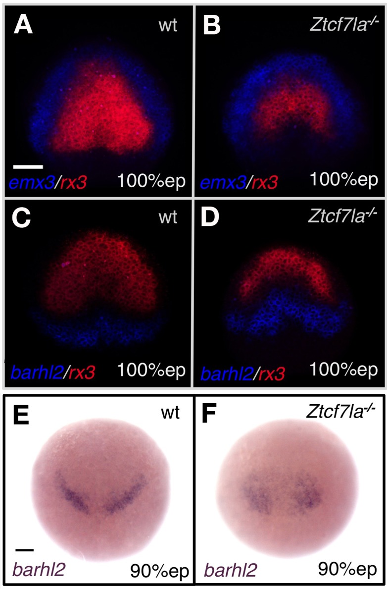 Figure 2—figure supplement 2.