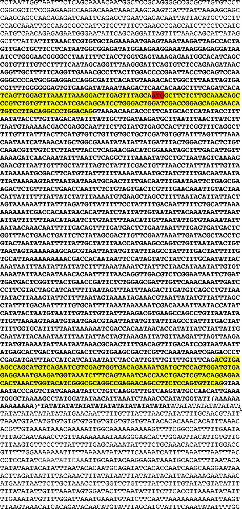 Figure 7—figure supplement 1.