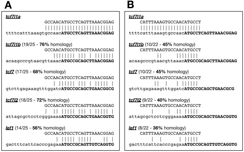 Figure 1—figure supplement 2.