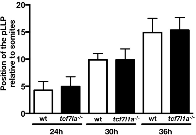 Figure 4—figure supplement 2.