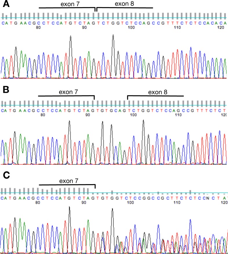 Figure 1—figure supplement 1.